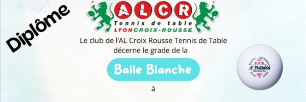 Journée de Test de Niveau